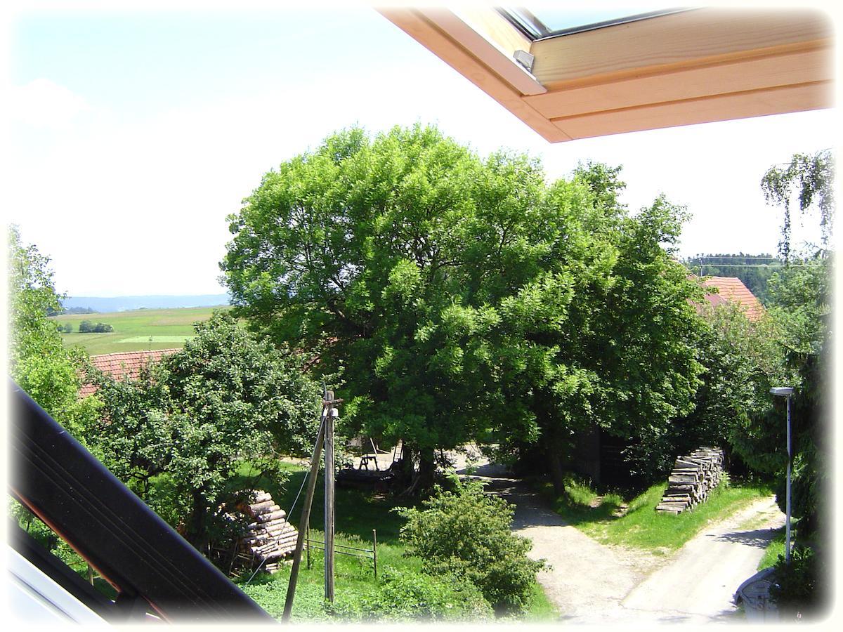 Oberndorf am Neckar Gasthof Hotel Traube חדר תמונה